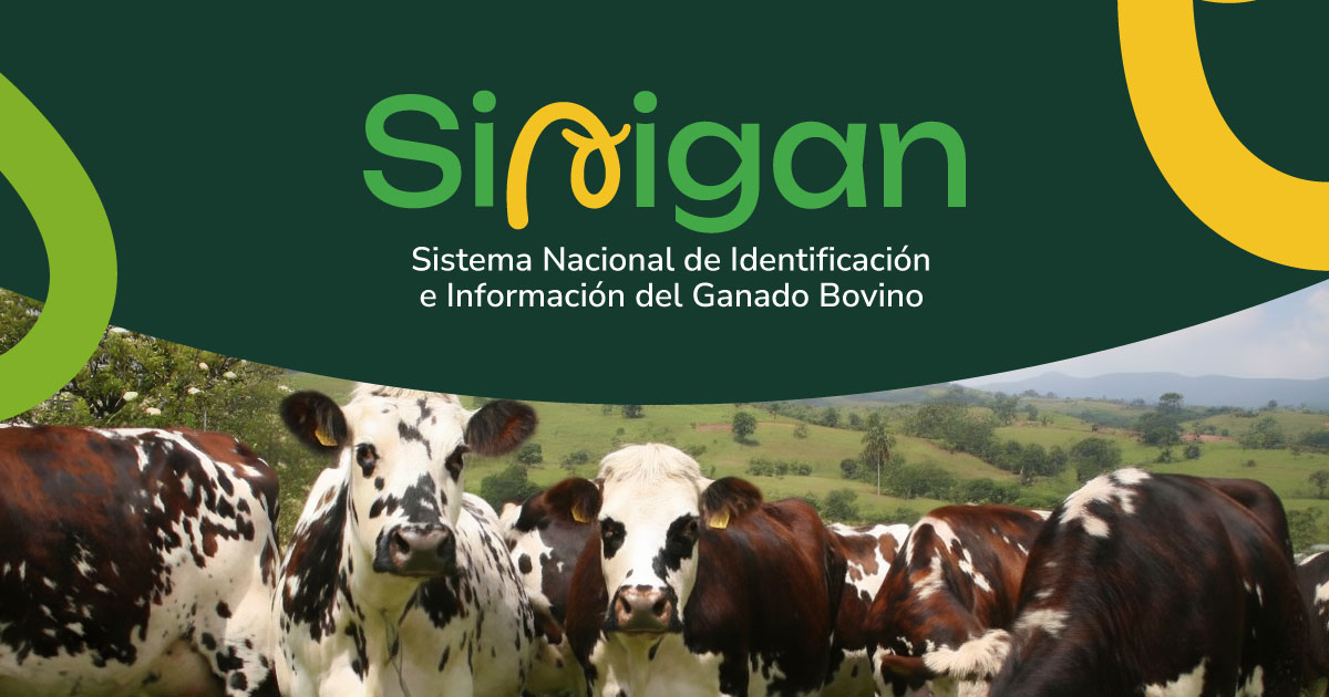 Registro de hierro